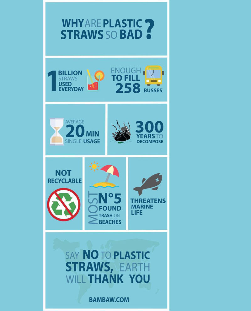 Why are Plastics so Bad?